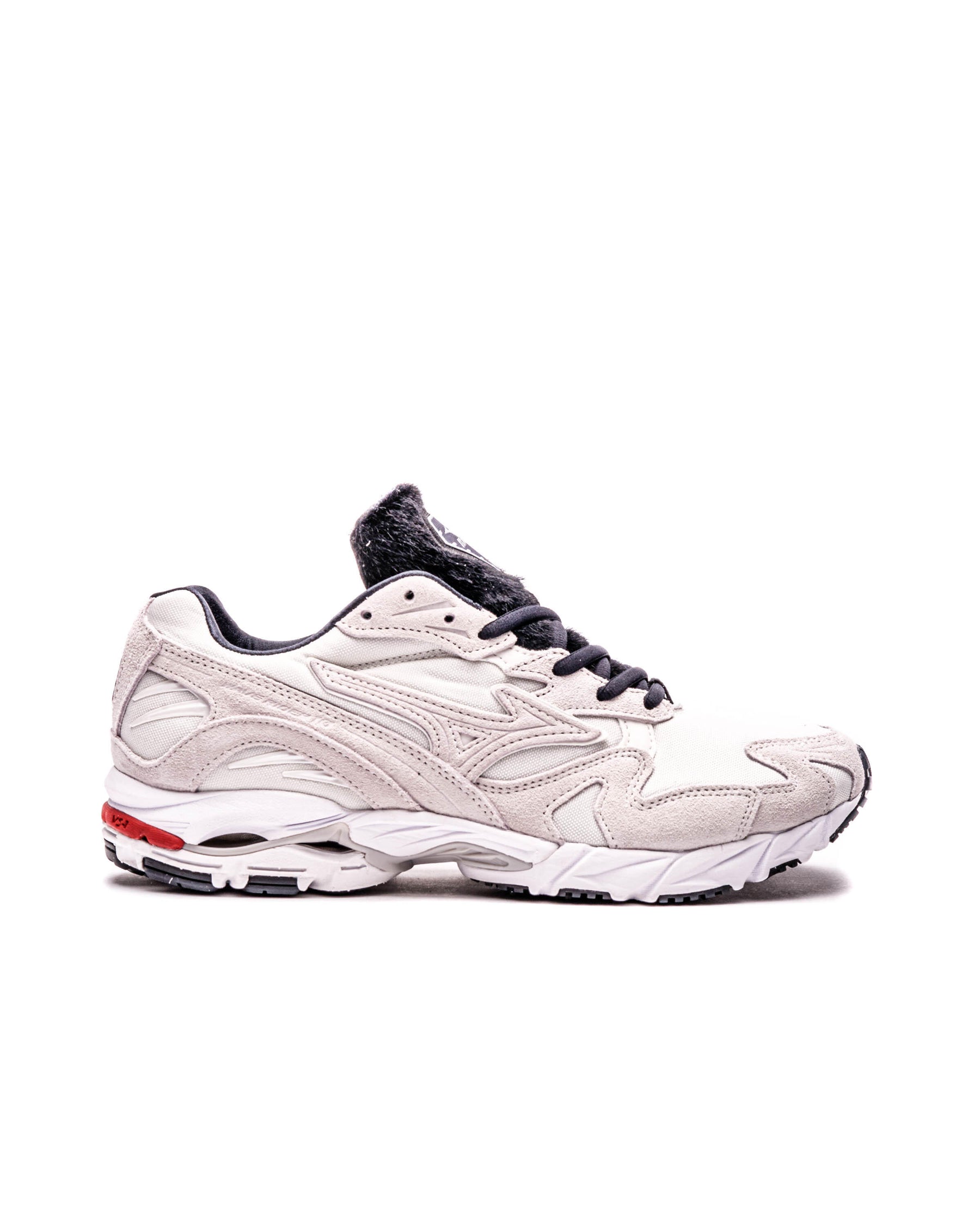 Mizuno WAVE RIDER 10
